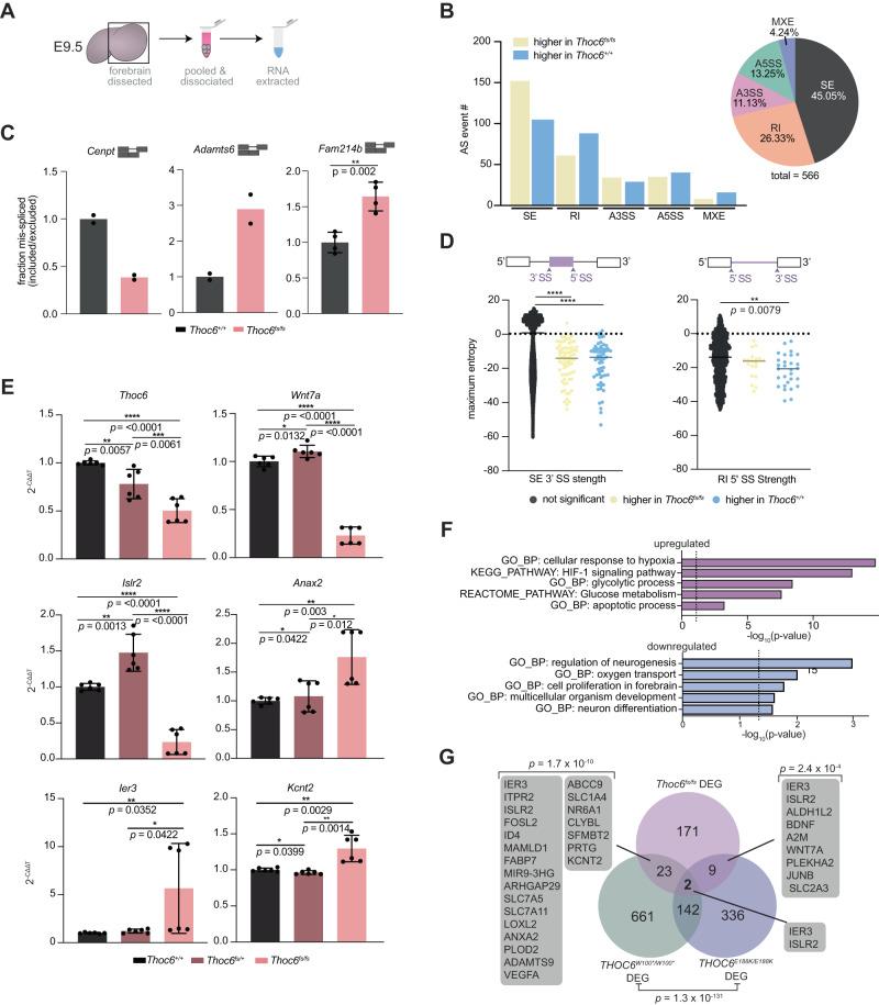 https://cdn.ncbi.nlm.nih.gov/pmc/blobs/5cd4/10884030/f997ac99ed1e/41467_2024_45948_Fig7_HTML.jpg