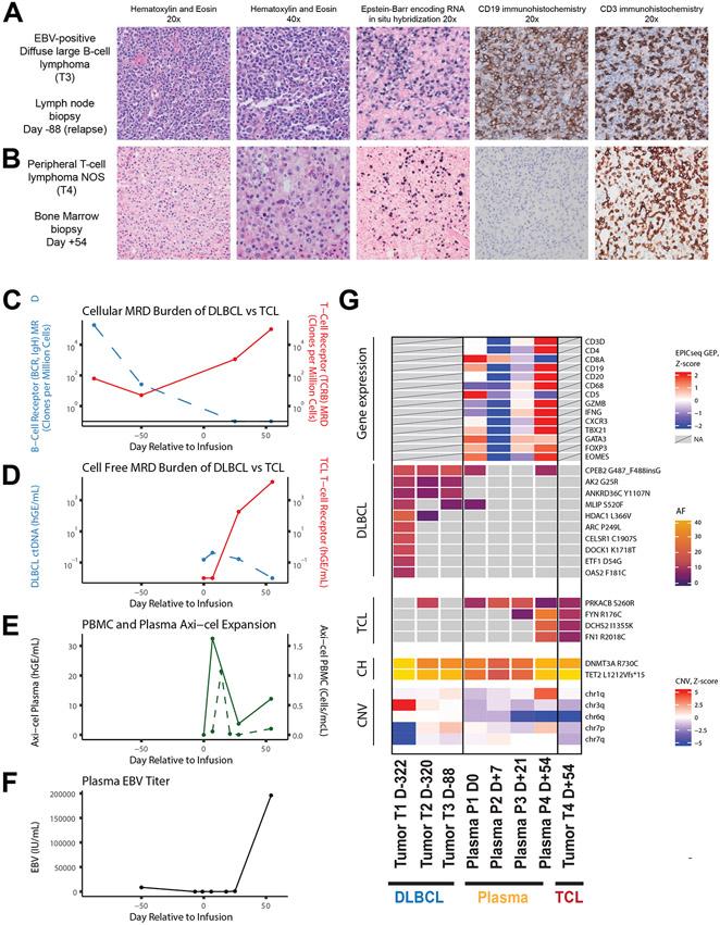 https://cdn.ncbi.nlm.nih.gov/pmc/blobs/5cd5/11338600/2fe5d918b782/nihms-1989954-f0002.jpg