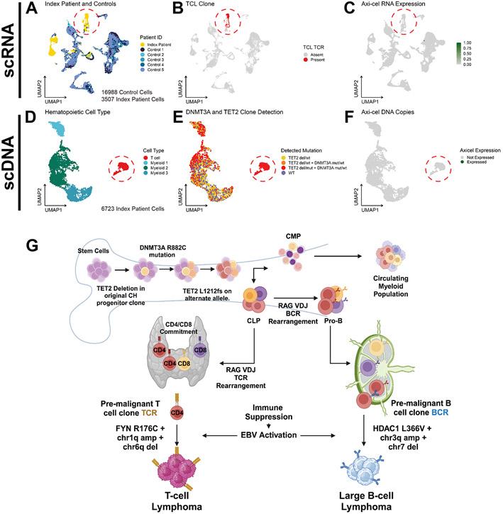 https://cdn.ncbi.nlm.nih.gov/pmc/blobs/5cd5/11338600/595934f57c03/nihms-1989954-f0003.jpg