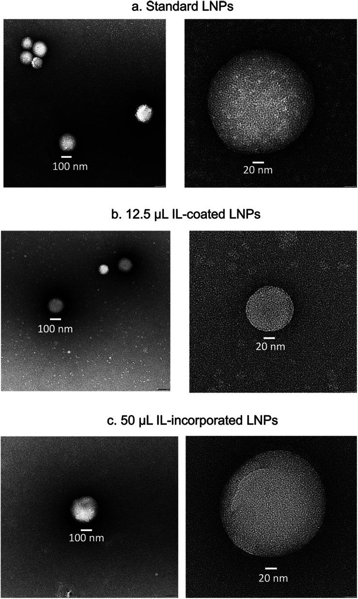 https://cdn.ncbi.nlm.nih.gov/pmc/blobs/5cd8/10964764/b7559ba721c5/d3na00699a-f5.jpg