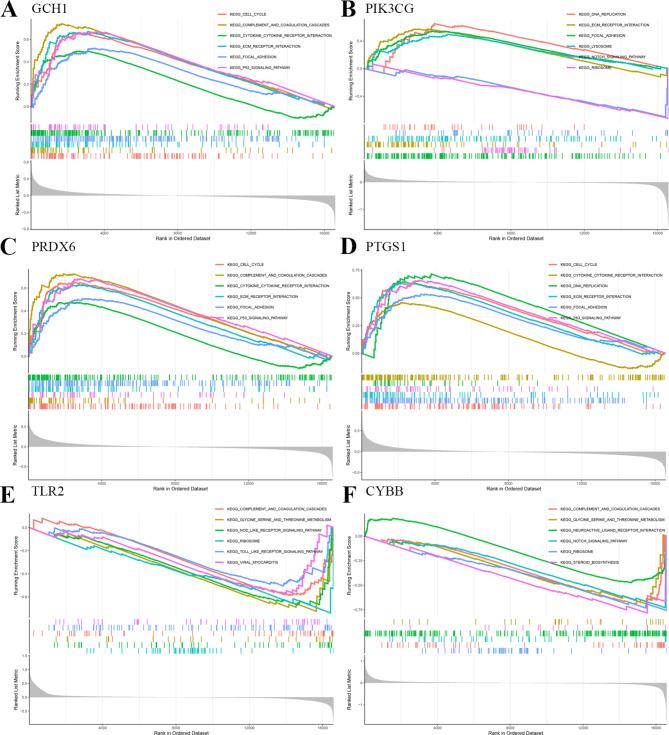 https://cdn.ncbi.nlm.nih.gov/pmc/blobs/5cd8/11612299/3daa8551e993/41598_2024_81844_Fig7_HTML.jpg