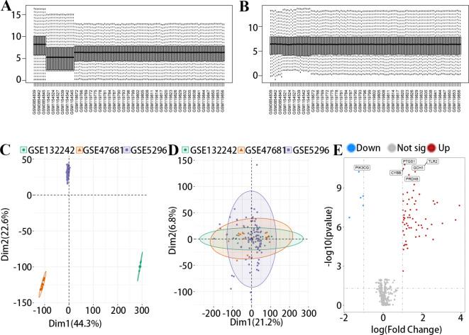 https://cdn.ncbi.nlm.nih.gov/pmc/blobs/5cd8/11612299/9e730c018b72/41598_2024_81844_Fig1_HTML.jpg