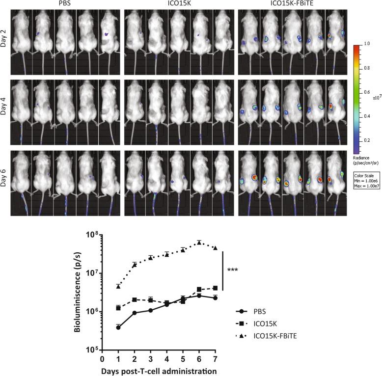 https://cdn.ncbi.nlm.nih.gov/pmc/blobs/5cd9/6347837/225dea261512/40425_2019_505_Fig4_HTML.jpg