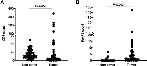 https://cdn.ncbi.nlm.nih.gov/pmc/blobs/5cd9/8262218/fdfdf30a6ca0/pore-27-1609752-g002.jpg