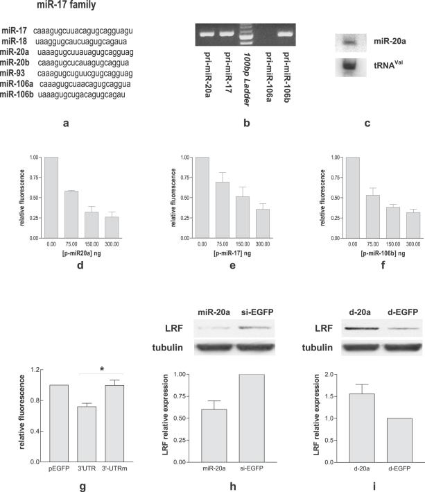 https://cdn.ncbi.nlm.nih.gov/pmc/blobs/5cdd/2435600/3b8204014980/pone.0002542.g001.jpg