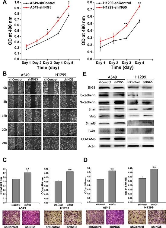 https://cdn.ncbi.nlm.nih.gov/pmc/blobs/5cdd/5589578/9562d7a1626a/oncotarget-08-54265-g001.jpg