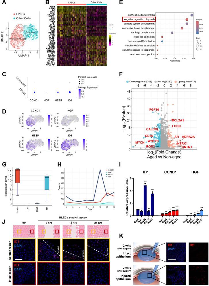 https://cdn.ncbi.nlm.nih.gov/pmc/blobs/5cde/12211975/046e5995e46d/13287_2025_4436_Fig6_HTML.jpg