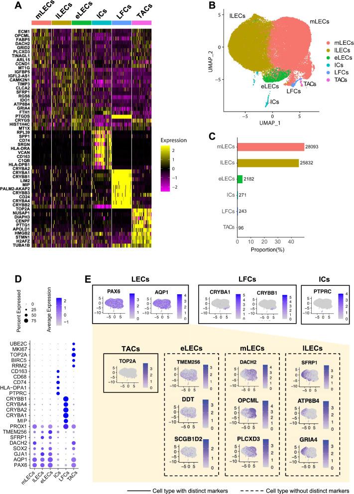 https://cdn.ncbi.nlm.nih.gov/pmc/blobs/5cde/12211975/3e0a40b0972d/13287_2025_4436_Fig2_HTML.jpg