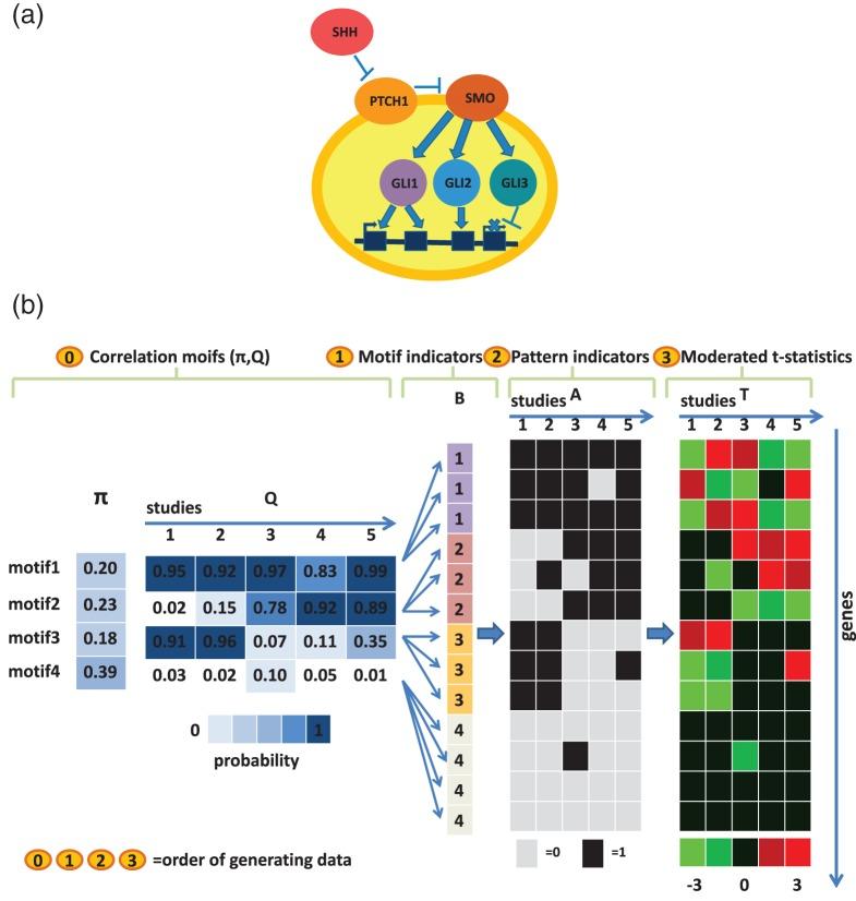 https://cdn.ncbi.nlm.nih.gov/pmc/blobs/5cdf/4263229/9dbae2f56099/kxu03801.jpg