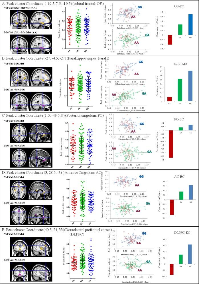 https://cdn.ncbi.nlm.nih.gov/pmc/blobs/5cdf/5342335/9bc2d387237b/oncotarget-07-54200-g003.jpg