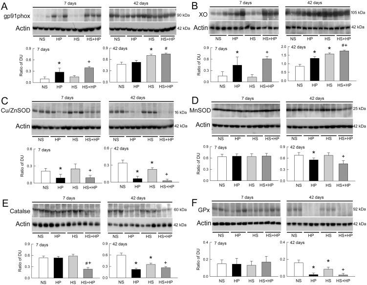 https://cdn.ncbi.nlm.nih.gov/pmc/blobs/5ce0/4524621/8e2f83c9b8e1/pone.0134764.g006.jpg