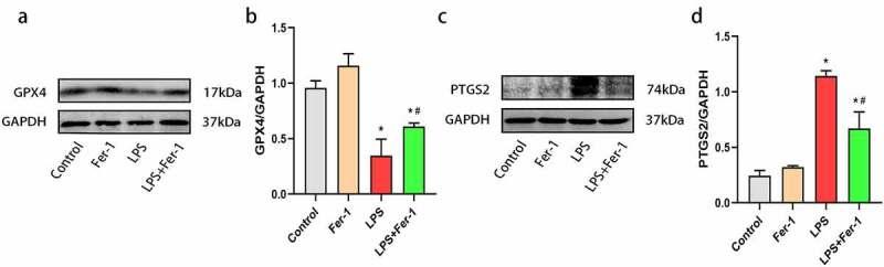 https://cdn.ncbi.nlm.nih.gov/pmc/blobs/5ce1/8809987/be06d123931e/KBIE_A_2001913_F0002_OC.jpg