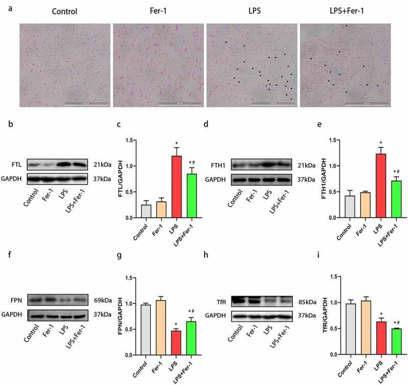 https://cdn.ncbi.nlm.nih.gov/pmc/blobs/5ce1/8809987/eda862add7ce/KBIE_A_2001913_F0003_OC.jpg