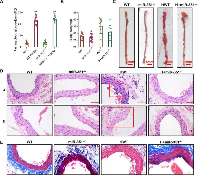 https://cdn.ncbi.nlm.nih.gov/pmc/blobs/5ce2/9523959/aa0cbba50823/10020_2022_547_Fig1_HTML.jpg
