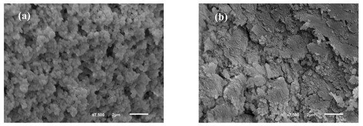 https://cdn.ncbi.nlm.nih.gov/pmc/blobs/5ce3/11679727/e42e156f4a64/molecules-29-05910-g008.jpg