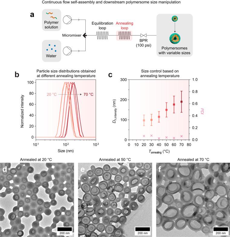 https://cdn.ncbi.nlm.nih.gov/pmc/blobs/5ce4/10558441/59d49e7dad7a/41467_2023_41883_Fig4_HTML.jpg