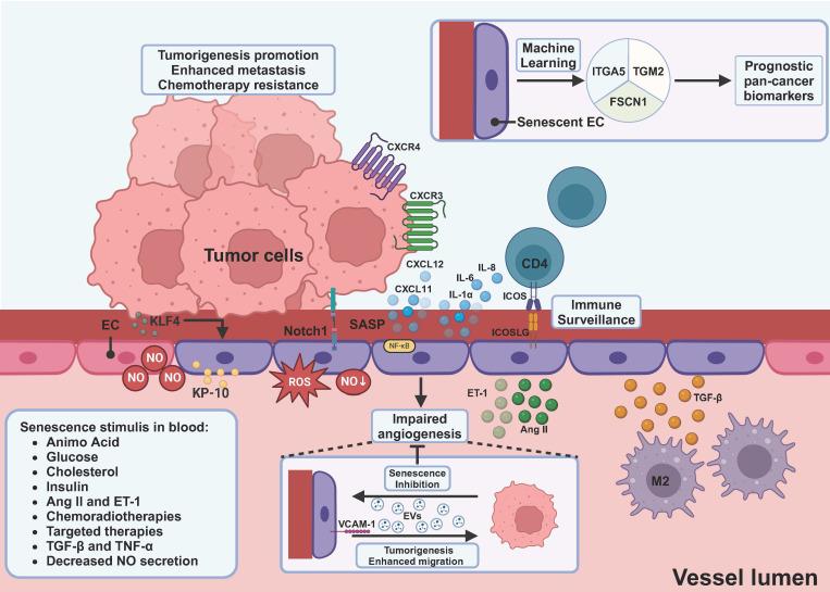 https://cdn.ncbi.nlm.nih.gov/pmc/blobs/5ce4/12374731/b9b2ad6efac7/thnov15p8675g003.jpg