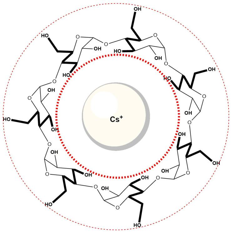 https://cdn.ncbi.nlm.nih.gov/pmc/blobs/5ce5/12113708/b216c62cb51c/molecules-30-02197-g012.jpg