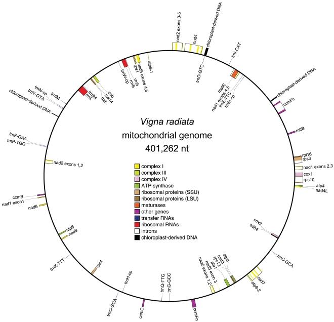 https://cdn.ncbi.nlm.nih.gov/pmc/blobs/5ce5/3024419/4076a3856861/pone.0016404.g001.jpg