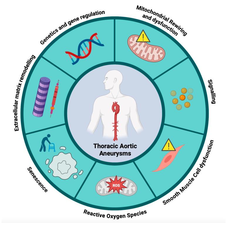 https://cdn.ncbi.nlm.nih.gov/pmc/blobs/5ce6/12026022/fb73bafc5893/cells-14-00618-g002.jpg