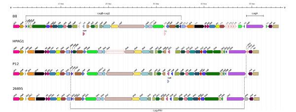 https://cdn.ncbi.nlm.nih.gov/pmc/blobs/5ce7/3091624/99fc663d524c/1471-2164-11-335-6.jpg