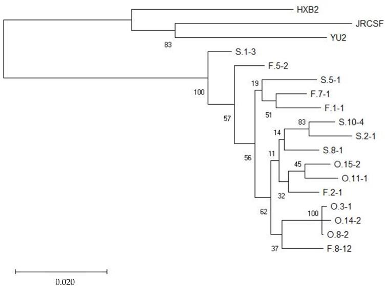 https://cdn.ncbi.nlm.nih.gov/pmc/blobs/5ce9/12030925/1ff9595af714/viruses-17-00467-g003.jpg
