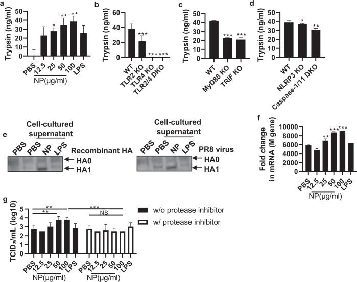https://cdn.ncbi.nlm.nih.gov/pmc/blobs/5ce9/9151763/6cd22eecefa0/41423_2022_862_Fig4_HTML.jpg