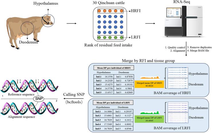 https://cdn.ncbi.nlm.nih.gov/pmc/blobs/5cea/12007499/fba28fc0b224/peerj-13-19270-g001.jpg