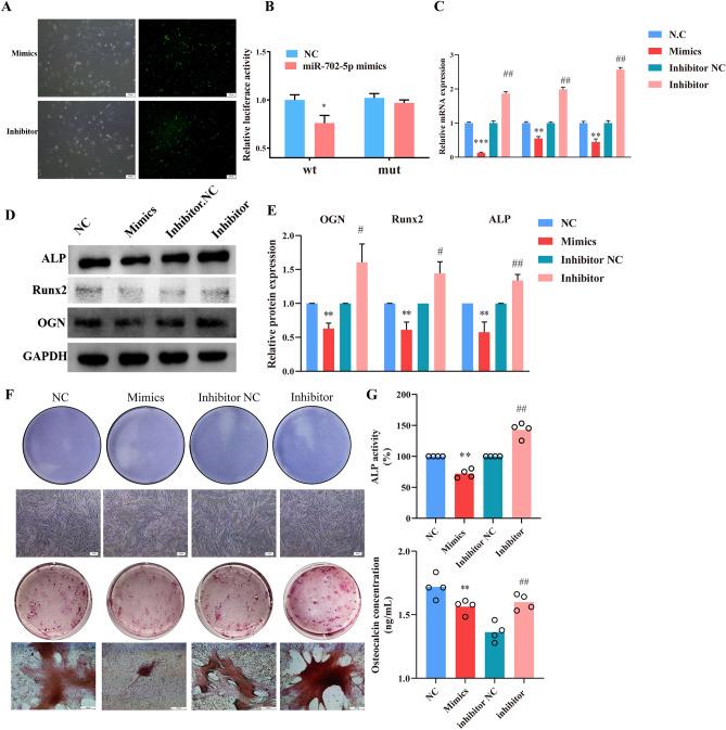 https://cdn.ncbi.nlm.nih.gov/pmc/blobs/5ceb/11166950/f8d9f06218e1/41598_2024_64391_Fig3_HTML.jpg
