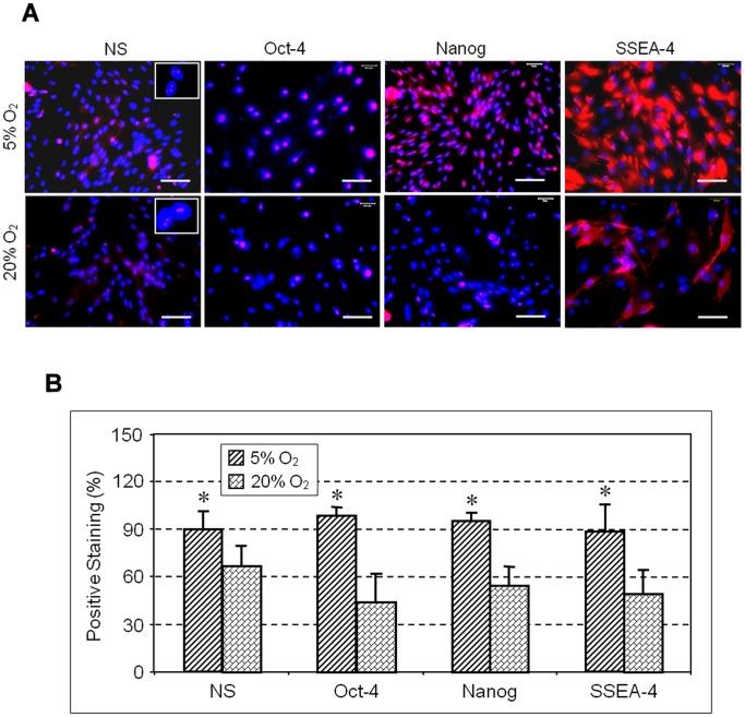 https://cdn.ncbi.nlm.nih.gov/pmc/blobs/5cec/3629026/794095a2fa1a/pone.0061424.g003.jpg