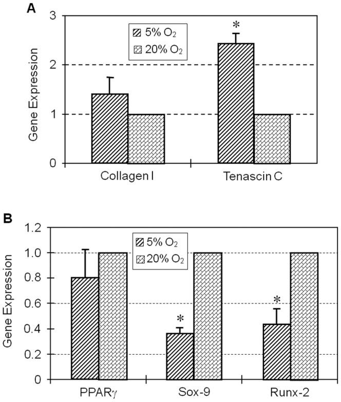 https://cdn.ncbi.nlm.nih.gov/pmc/blobs/5cec/3629026/dae23c93a7a3/pone.0061424.g005.jpg