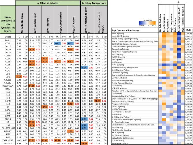 https://cdn.ncbi.nlm.nih.gov/pmc/blobs/5ced/11582678/ad5545c2892c/41598_2024_71964_Fig6_HTML.jpg