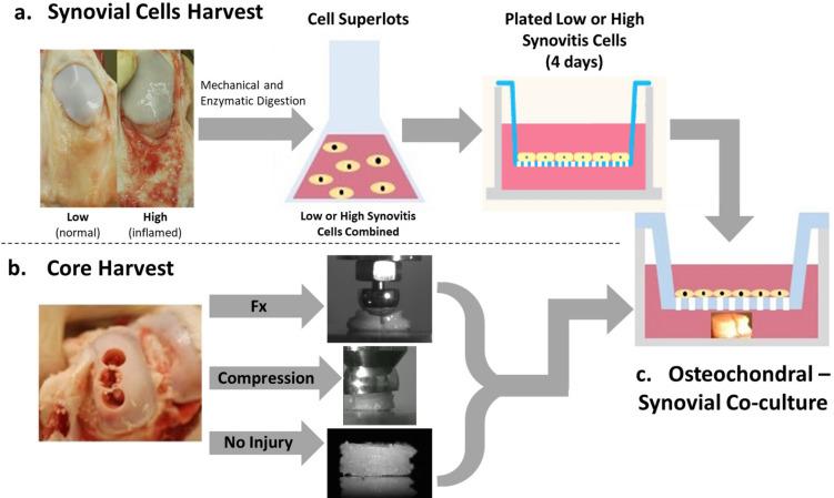 https://cdn.ncbi.nlm.nih.gov/pmc/blobs/5ced/11582678/ce7e10239ffb/41598_2024_71964_Fig2_HTML.jpg