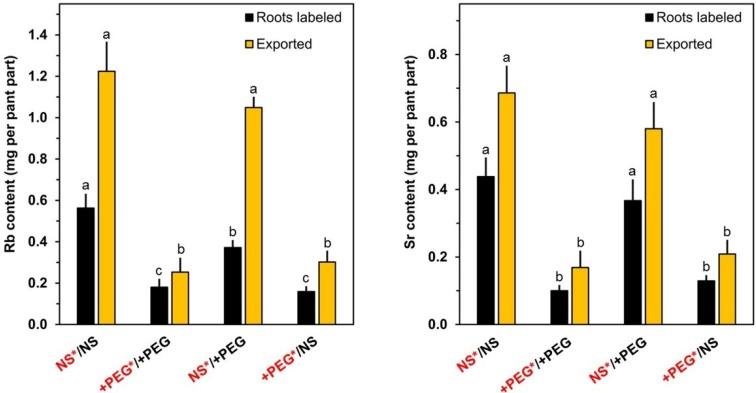 https://cdn.ncbi.nlm.nih.gov/pmc/blobs/5cf1/4844325/58e0e4763a82/plants-04-00284-g002.jpg