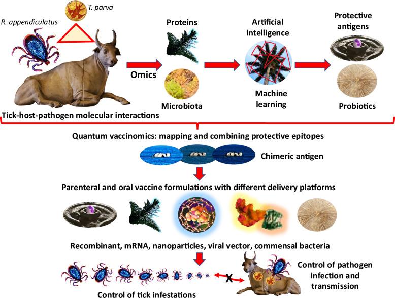 https://cdn.ncbi.nlm.nih.gov/pmc/blobs/5cf5/11580188/6c591cfaca44/13071_2024_6517_Fig2_HTML.jpg