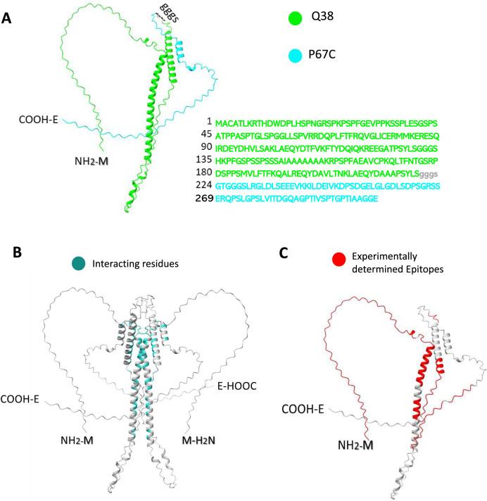 https://cdn.ncbi.nlm.nih.gov/pmc/blobs/5cf5/11580188/dad98e25e30a/13071_2024_6517_Fig1_HTML.jpg