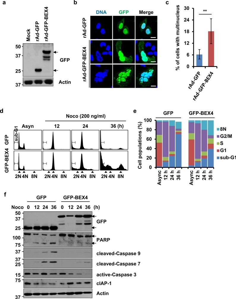 https://cdn.ncbi.nlm.nih.gov/pmc/blobs/5cf5/6203768/3093c5311233/12276_2018_168_Fig4_HTML.jpg