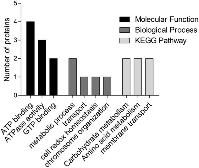 https://cdn.ncbi.nlm.nih.gov/pmc/blobs/5cf6/5844979/ce77f4652190/fmicb-09-00379-g003.jpg