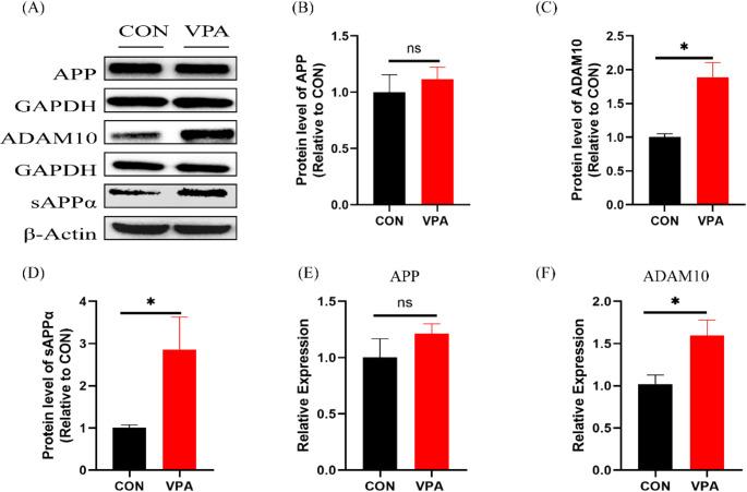 https://cdn.ncbi.nlm.nih.gov/pmc/blobs/5cf7/12003443/2a4228b14734/11064_2025_4398_Fig2_HTML.jpg