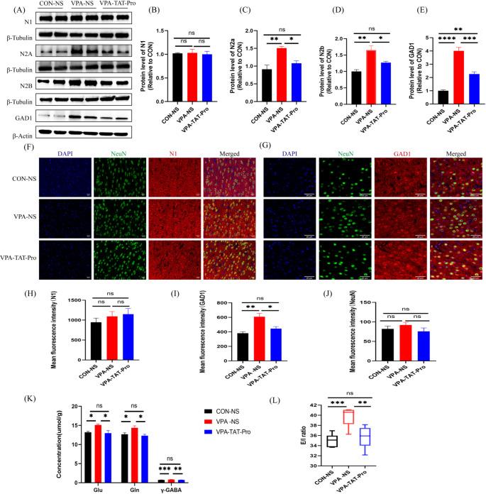 https://cdn.ncbi.nlm.nih.gov/pmc/blobs/5cf7/12003443/848734c10389/11064_2025_4398_Fig5_HTML.jpg