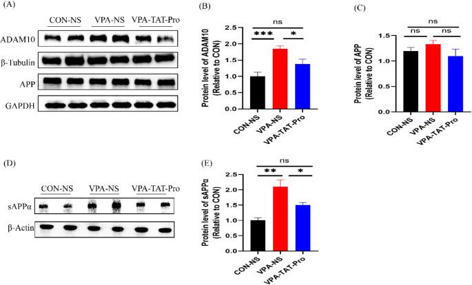 https://cdn.ncbi.nlm.nih.gov/pmc/blobs/5cf7/12003443/ad1216747553/11064_2025_4398_Fig4_HTML.jpg
