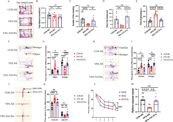 https://cdn.ncbi.nlm.nih.gov/pmc/blobs/5cf7/12003443/b7ae31082d7c/11064_2025_4398_Fig7_HTML.jpg