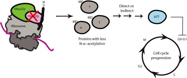 https://cdn.ncbi.nlm.nih.gov/pmc/blobs/5cf9/2722096/8a34470eb9d6/1753-6561-3-S6-S3-3.jpg