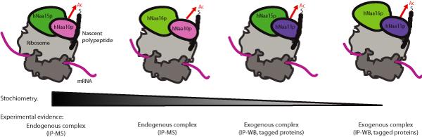 https://cdn.ncbi.nlm.nih.gov/pmc/blobs/5cf9/2722096/8b84d68401d9/1753-6561-3-S6-S3-1.jpg
