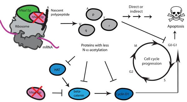 https://cdn.ncbi.nlm.nih.gov/pmc/blobs/5cf9/2722096/b99f9c532c68/1753-6561-3-S6-S3-2.jpg