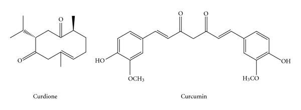 https://cdn.ncbi.nlm.nih.gov/pmc/blobs/5cf9/3137788/0ced4772ccba/ECAM2011-913898.001.jpg