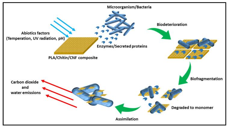 https://cdn.ncbi.nlm.nih.gov/pmc/blobs/5cfb/8037354/5b48bd159951/molecules-26-02008-g003.jpg