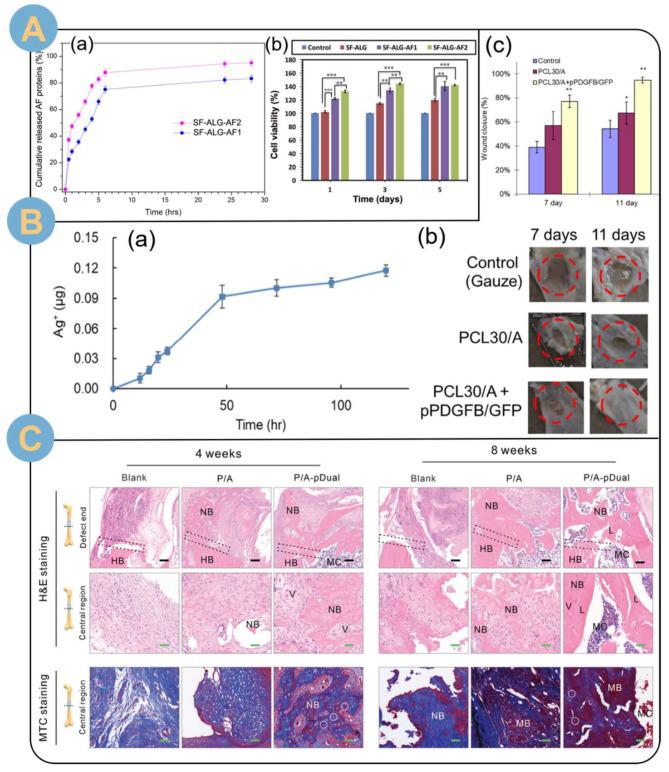 https://cdn.ncbi.nlm.nih.gov/pmc/blobs/5cfe/11274620/17495031f2bd/biomolecules-14-00789-g010.jpg