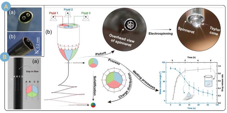 https://cdn.ncbi.nlm.nih.gov/pmc/blobs/5cfe/11274620/3427e23e10ee/biomolecules-14-00789-g006.jpg