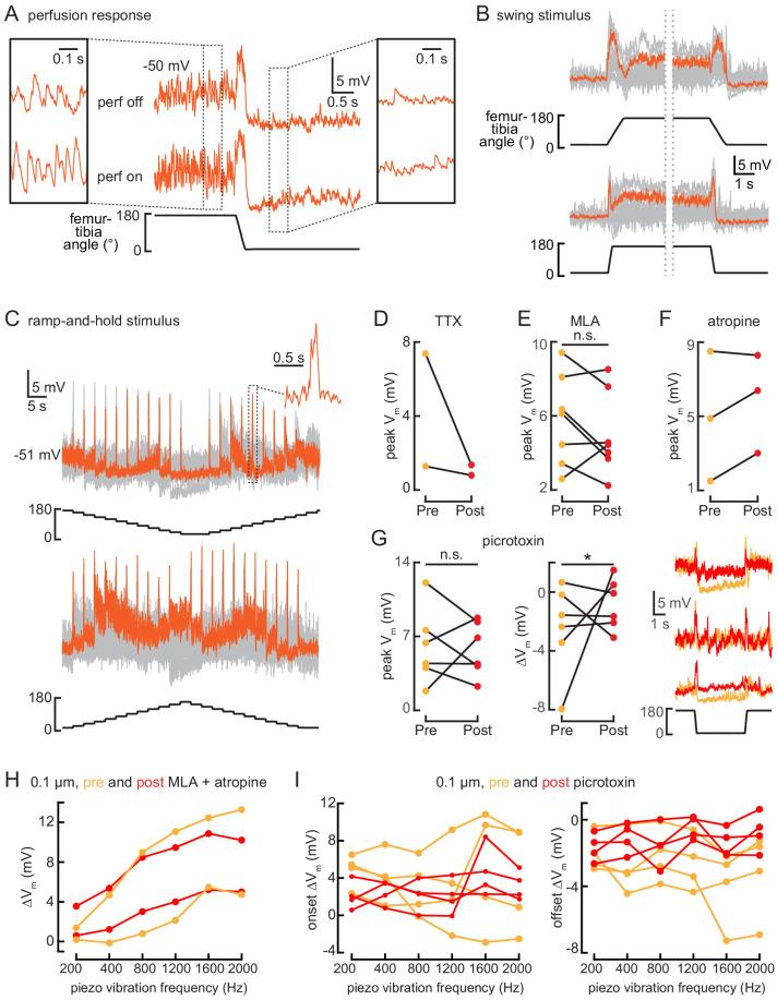 https://cdn.ncbi.nlm.nih.gov/pmc/blobs/5cfe/7752136/a5691af1d028/elife-60299-fig7-figsupp1.jpg